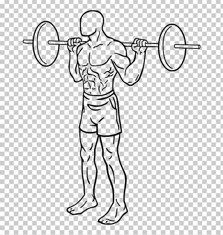 Squat Barbell Physical Exercise Deadlift Weight Training PNG, Clipart, Abdomen, Angle, Arm, Bench, Biceps Curl Free PNG Download