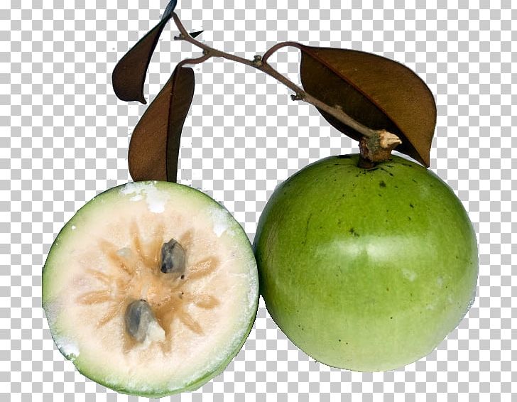 Vĩnh Kim Milk Star Apple Auglis Food PNG, Clipart, Apple, Auglis, Eating, Feijoa, Food Free PNG Download