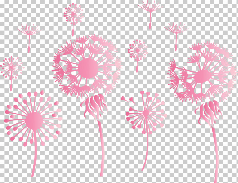 Dandelion PNG, Clipart, Chrysanthemum, Daisy Family, Dandelion, Floral Design, Flower Free PNG Download