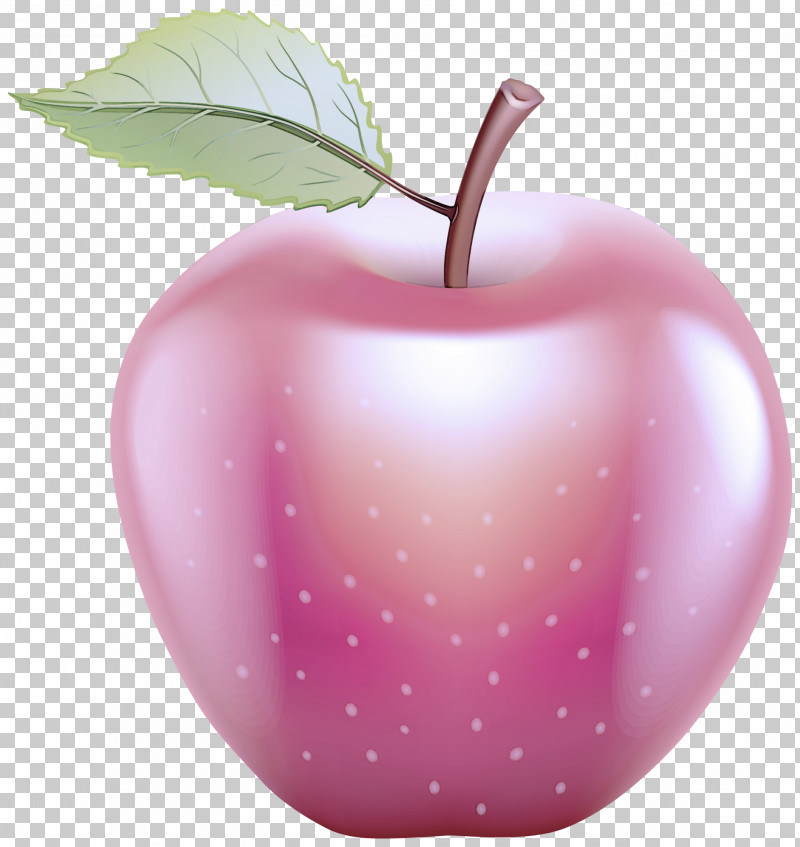 Fruit Leaf Apple Plant Pink PNG, Clipart, Apple, Food, Fruit, Heart, Leaf Free PNG Download