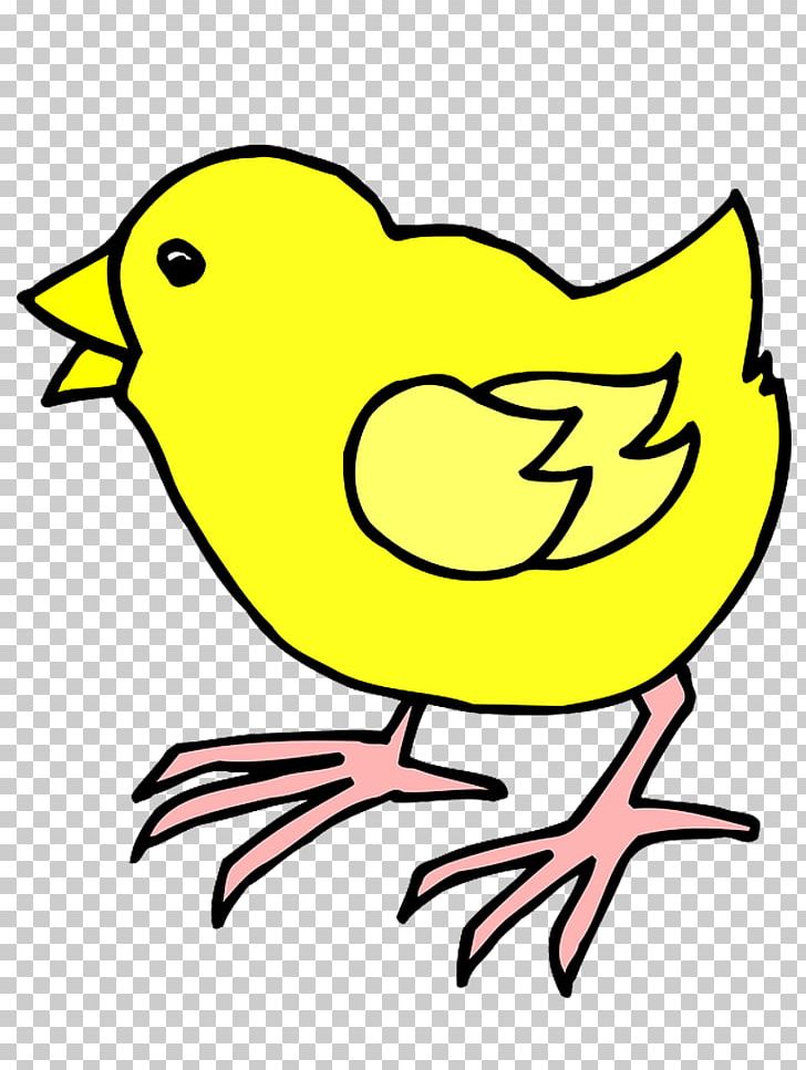 Chicken PNG, Clipart, Area, Art, Artwork, Beak, Bird Free PNG Download