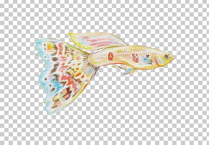 Goldfish Guppy Aquarium Fishkeeping PNG, Clipart, Acuairo Mar, Animals, Aquarium, Brine Shrimp, Color Free PNG Download