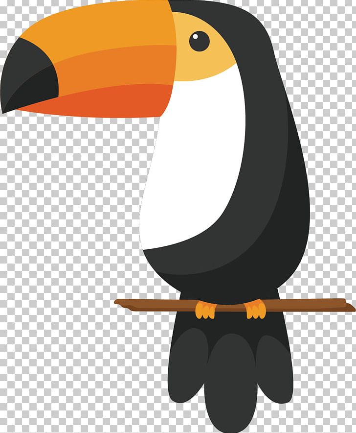 keel billed toucan drawing