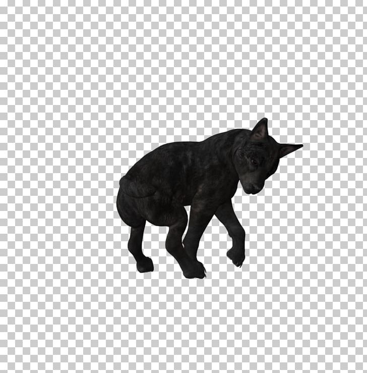 Dog Puppy Black Wolf Canidae PNG, Clipart, Animal, Animal Figure, Animals, Black Wolf, Canidae Free PNG Download
