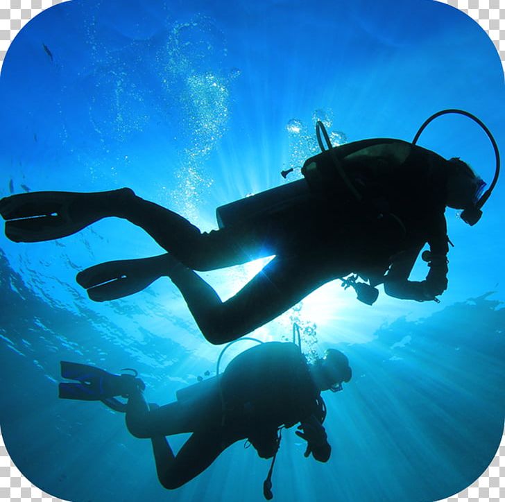 Scuba Diving Underwater Diving Professional Association Of Diving Instructors Scuba Set Dive Center PNG, Clipart, Around The World, Marine Biology, Miscellaneous, Others, Padi Discover Scuba Diving Free PNG Download