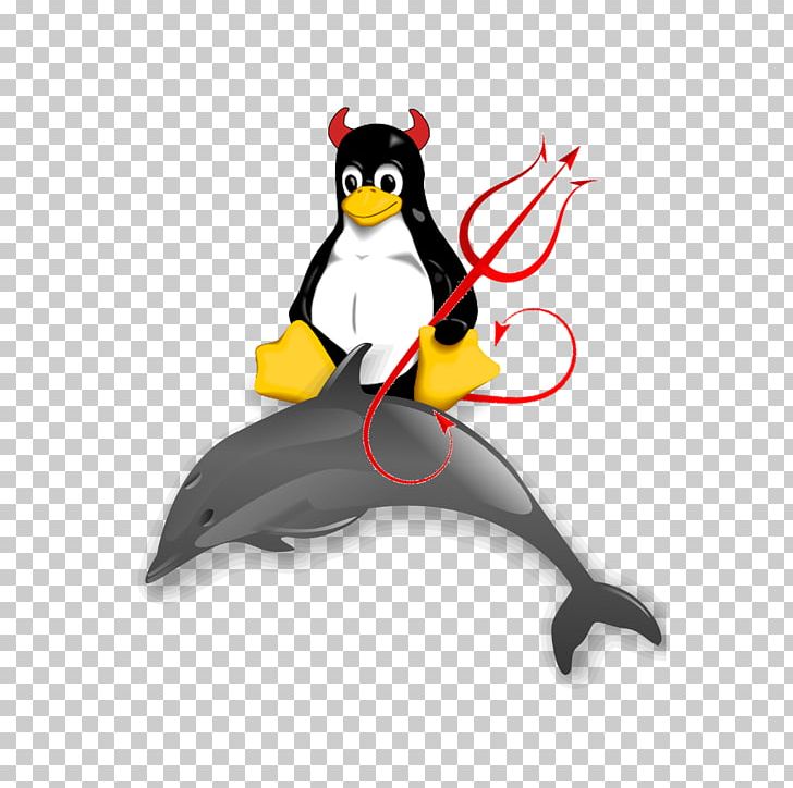 Common Bottlenose Dolphin Graphics Free Content PNG, Clipart, Beak, Bird, Cartoon, Cetaceans, Common Bottlenose Dolphin Free PNG Download