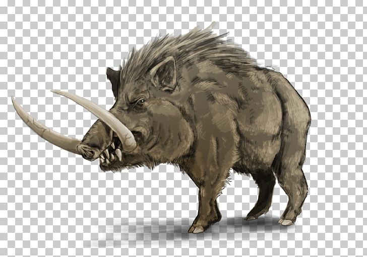 De Montfort University Wild Boar LE1 9BH Calydonian Boar Graduation Ceremony PNG, Clipart, Animal, Animals, Art, Boar, De Montfort University Free PNG Download