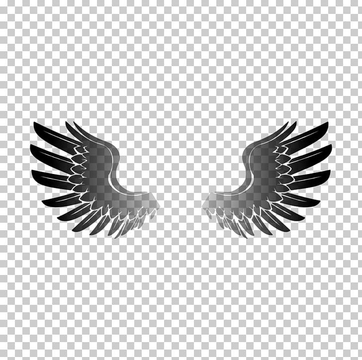 Eagle Wing PNG, Clipart, Beak, Bird, Bird Flight, Bird Of Prey, Black And White Free PNG Download