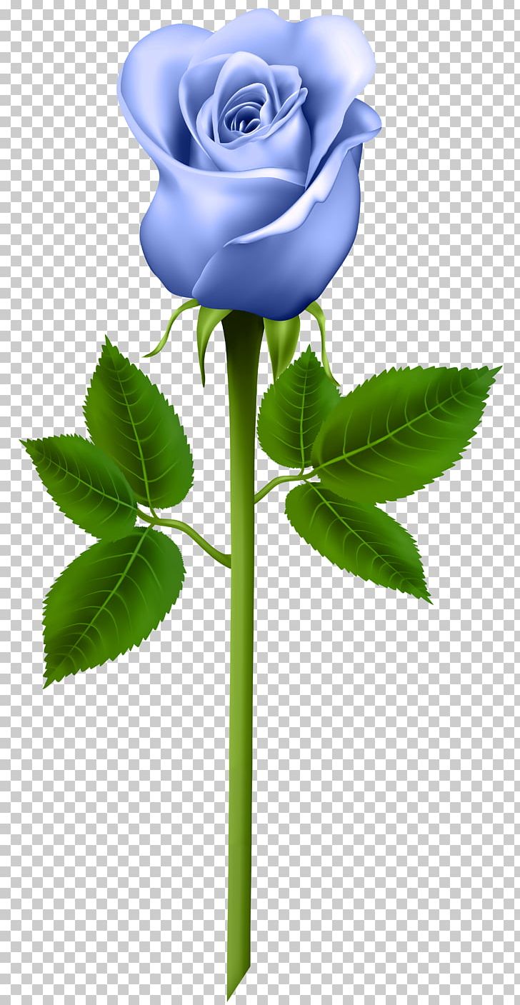 Rose Purple PNG, Clipart, Artificial Flower, Blue, Clipart, Clip Art, Color Free PNG Download