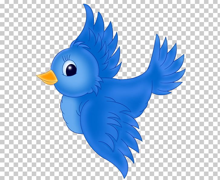 Western Bluebird Eastern Bluebird PNG, Clipart, Animals, Beak, Bird, Blue Bird, Bluebird Free PNG Download