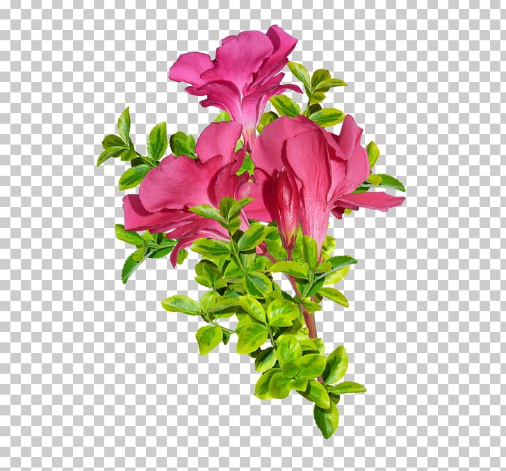 Damask Rose Flower Pink PNG, Clipart, Animals, Annual Plant, Antiquity, Artificial Flower, Azalea Free PNG Download