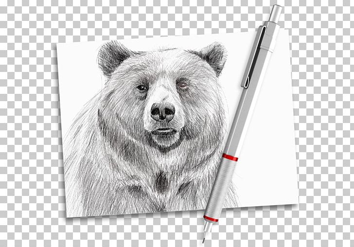 Drawing Computer Software Mobile App MacOS Apple PNG, Clipart, Apple, Bear, Black And White, Carnivoran, Computer Software Free PNG Download