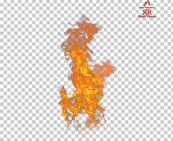 Flame Combustion Fire PNG, Clipart, Alev, Combustion, Copyright, Creativity, Designer Free PNG Download