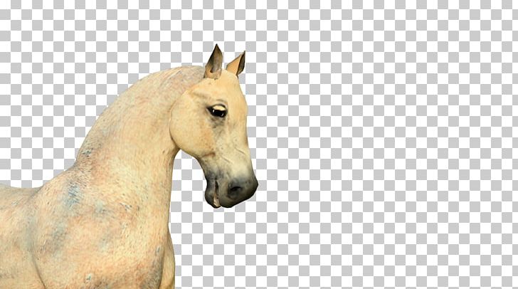 Flash Animation Horse PNG, Clipart, Adobe Flash, Animal, Animation Of Animals, Animation Studio, Cartoon Free PNG Download