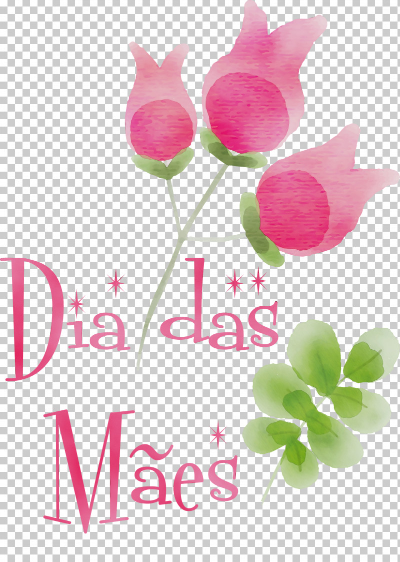 Floral Design PNG, Clipart,  Free PNG Download