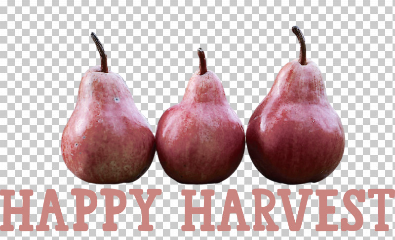 Happy Harvest Harvest Time PNG, Clipart, Fruit, Happy Harvest, Harvest Time Free PNG Download