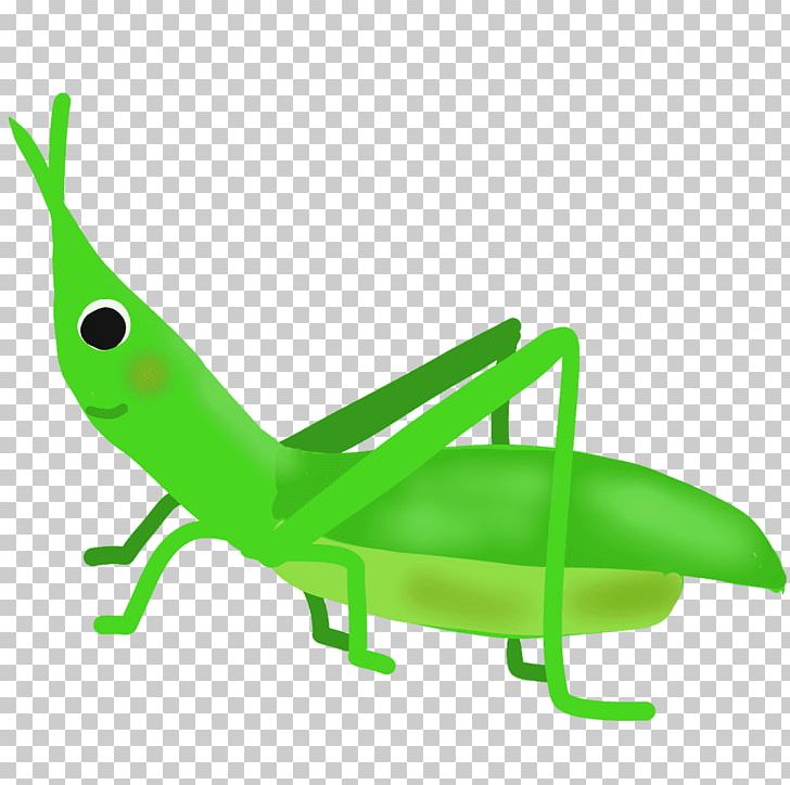 Chinese Grasshopper Caelifera Insect PNG, Clipart, Animals, Caelifera, Chinese Grasshopper, Credit, Cricket Like Insect Free PNG Download