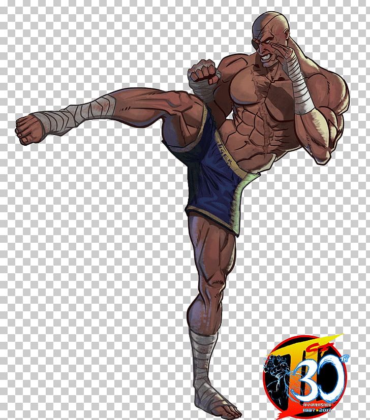 Street Fighter II: The World Warrior Street Fighter IV Street Fighter II: Champion Edition Sagat PNG, Clipart, Aggression, Akuma, Arm, Boss, Boxing Glove Free PNG Download