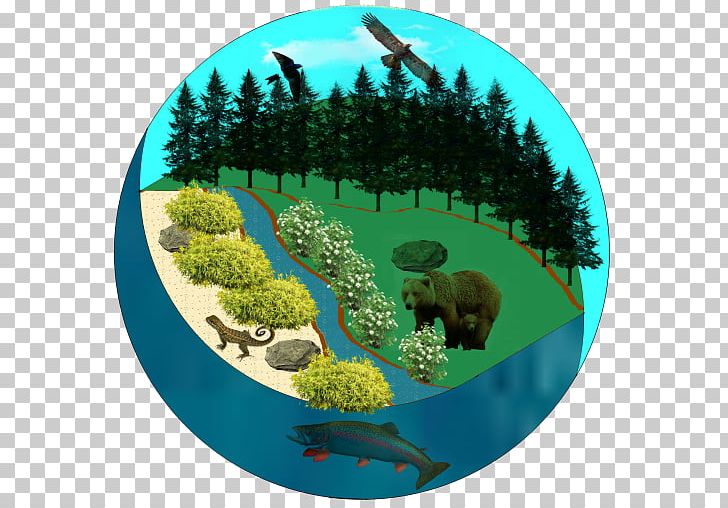 Tisa Huta-Certeze Biome Nature Natura 2000 PNG, Clipart, Biome, Ecosystem, Grass, Natura 2000, Nature Free PNG Download