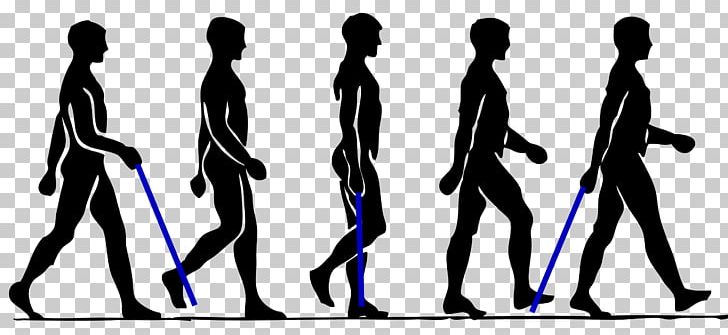 Walking Person PNG, Clipart, Animals, Bipedal Gait Cycle, Business Man, Human, Man Silhouette Free PNG Download
