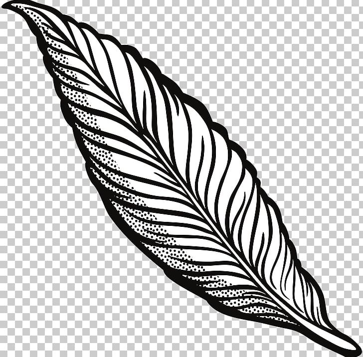 Open Drawing Feather PNG, Clipart, Animals, Beak, Bird, Black And White, Computer Icons Free PNG Download