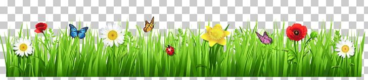 Tulip Meadow Grasses Wildflower PNG, Clipart, Clipart, Computer Wallpaper, Desktop Wallpaper, Flower, Flowering Plant Free PNG Download