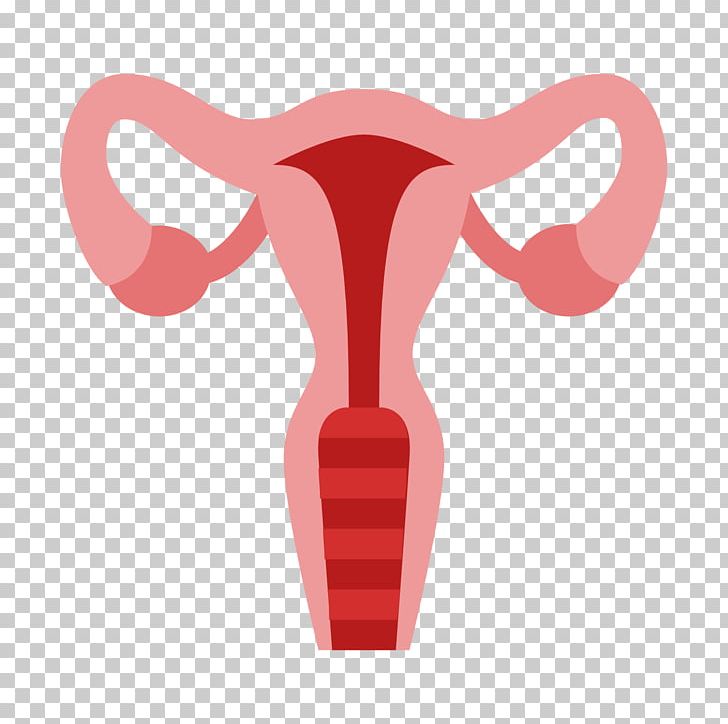 Uterus Computer Icons Ovary Cervix Fallopian Tube PNG, Clipart, Cattle Like Mammal, Cervix, Computer Icons, Fallopian Tube, Fetus Free PNG Download