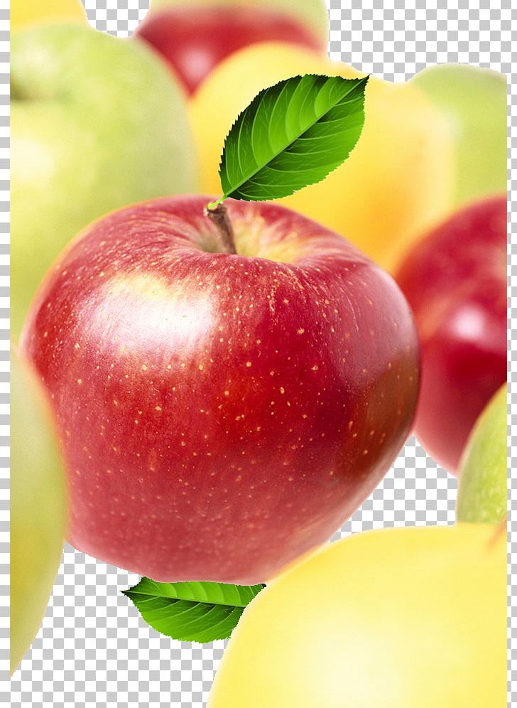 Apple Euclidean PNG, Clipart, 3d Fruits, Apple, Food, Fruit, Fruit Nut Free PNG Download