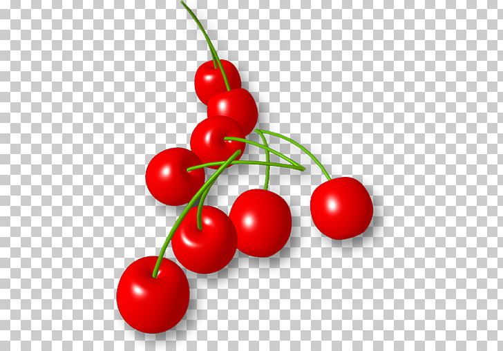 Computer Icons PNG, Clipart, 3d Computer Graphics, Berry, Cartoon, Cherry, Currant Free PNG Download