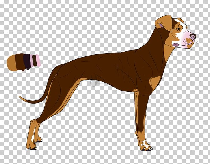 Dog Breed Italian Greyhound Azawakh Longdog PNG, Clipart, Azawakh, Bred Pit, Breed, Carnivoran, Dog Free PNG Download