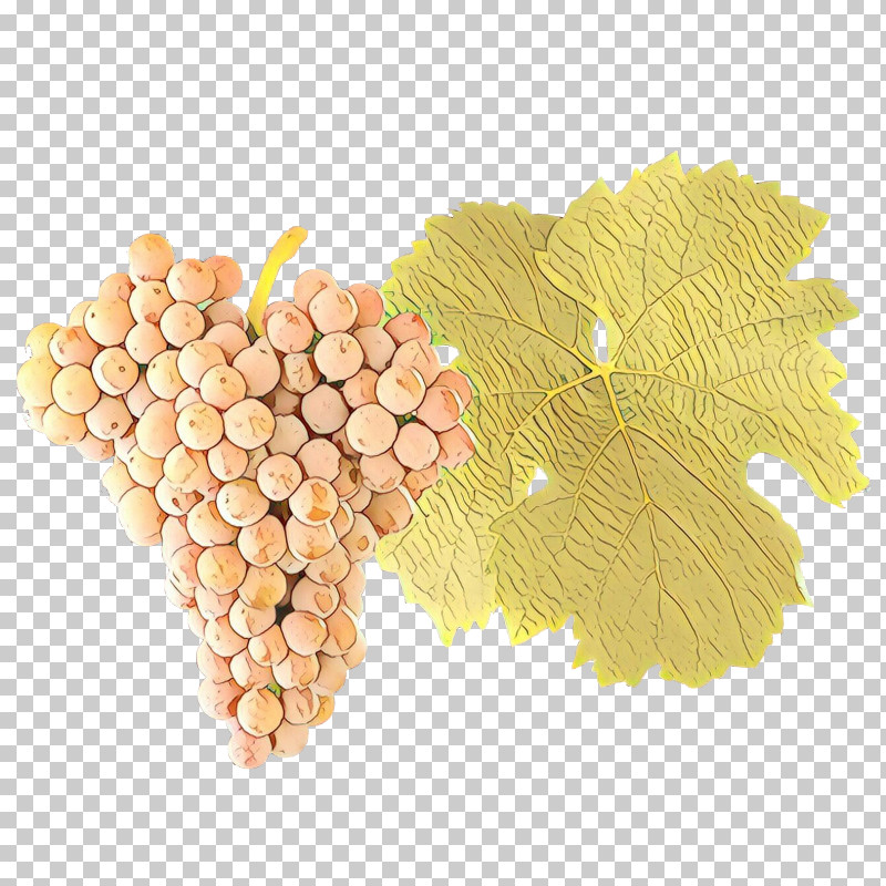 Plane PNG, Clipart, Flower, Food, Fruit, Grape, Grape Leaves Free PNG Download