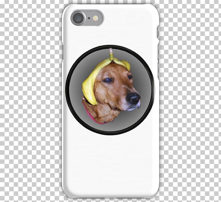 IPhone 4S IPhone 6 IPhone 7 Emoji PNG, Clipart, Carnivoran, Dachshund, Dog, Dog Breed, Dog Bubbles Free PNG Download