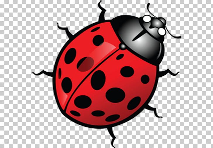 Ladybird Beetle Logo PNG, Clipart, Animals, Artwork, Beetle, Bug, Clip Art Free PNG Download