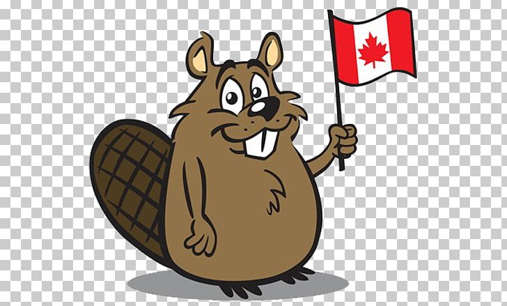 Canada North American Beaver PNG, Clipart, American Flag, Animal, Animals, Australia Flag, Beaver Free PNG Download