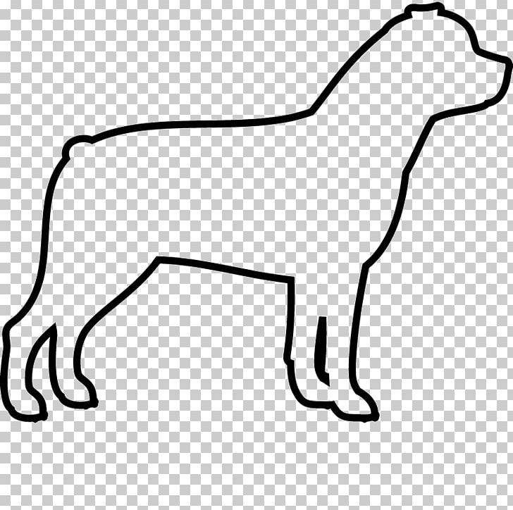 Dog Breed Puppy Labrador Retriever Newfoundland Dog Rottweiler PNG, Clipart, Black, Black And White, Carnivoran, Cat Like Mammal, Dog Free PNG Download