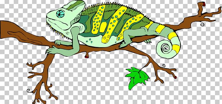 Chameleons Lizard Common Iguanas PNG, Clipart, Amphibian, Amphibians, Animal, Animals, Cartoon Free PNG Download
