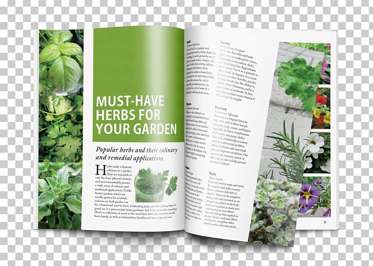 Herbalism Magazine Gardening Article PNG, Clipart, Article, Brand, Brochure, Color, Garden Free PNG Download