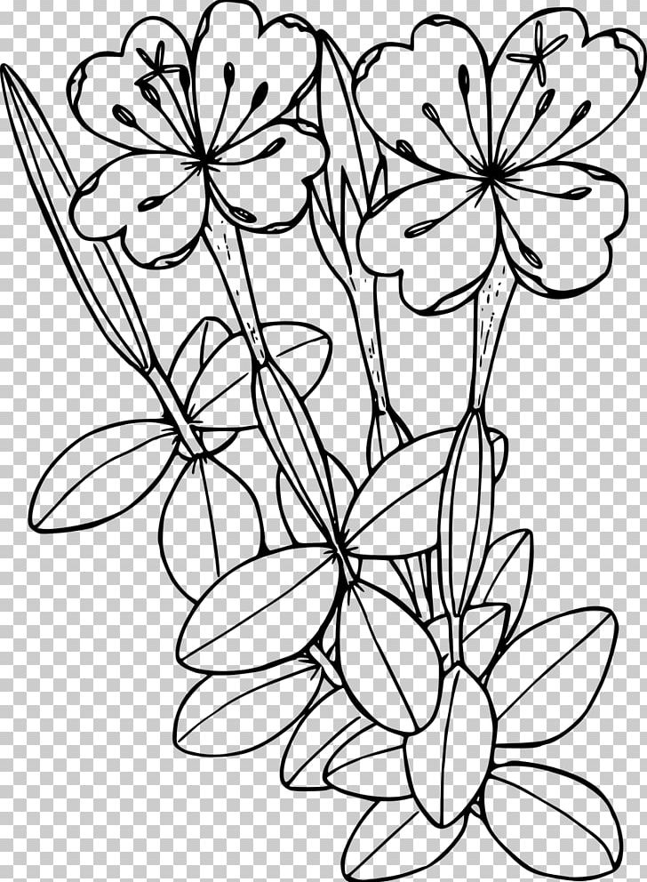 Wildflower Drawing Line Art PNG, Clipart, Art, Black And White, Branch, Coloring Book, Cut Flowers Free PNG Download