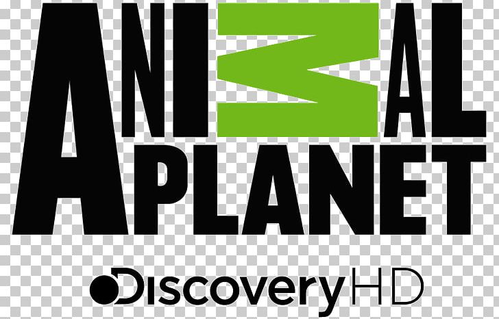 Animal Planet Cat Television Channel Discovery PNG, Clipart, Animal, Animal  Planet, Animal Planet Hd, Animal Planet