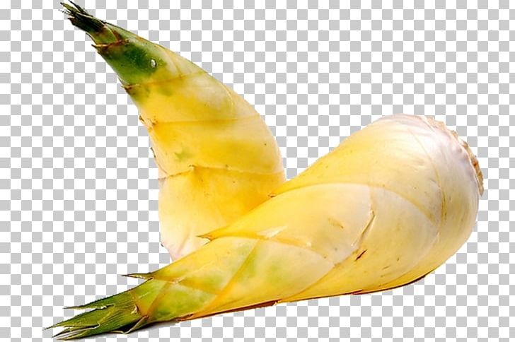 Bamboo Shoot Menma Food Eating Stir Frying PNG, Clipart, Bamboo, Bamboo Shoots, Cellophane Noodles, Cooking, Dietary Fiber Free PNG Download
