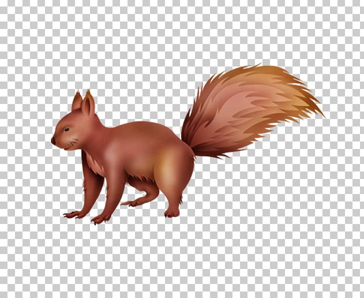 Red Fox Squirrel Cartoon PNG, Clipart, Animals, Canidae, Carnivora, Carnivoran, Cartoon Free PNG Download