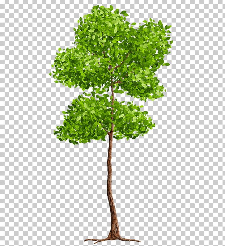 Tree Blog PNG, Clipart, Blog, Branch, Broadleaved Tree, Color, Computer Icons Free PNG Download