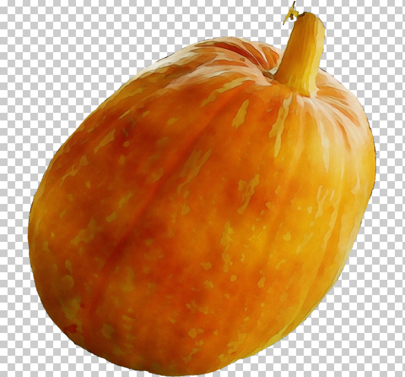 Squash Winter Squash Gourd Natural Food Food Spoilage PNG, Clipart, Childrens Film, Commodity, Cucumber, Cucurbits, Family Free PNG Download