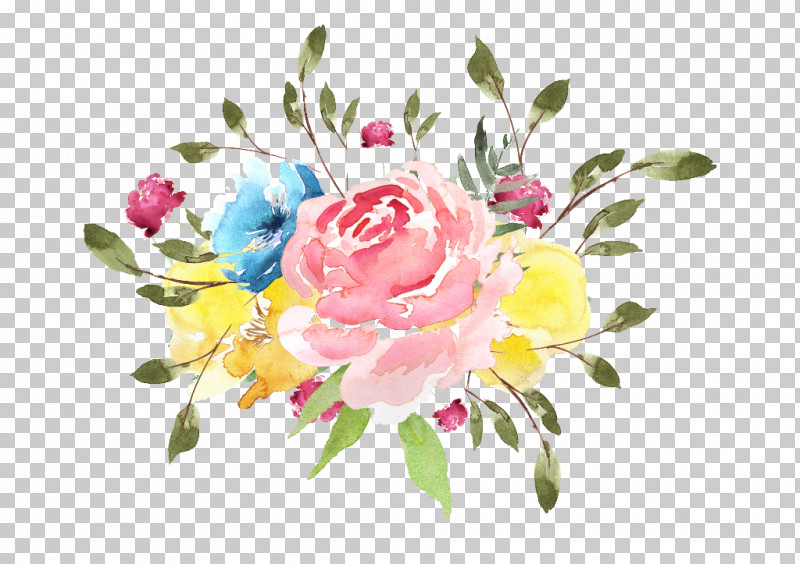 Garden Roses PNG, Clipart, Cabbage Rose, Cut Flowers, Floral Design, Flower, Flower Bouquet Free PNG Download