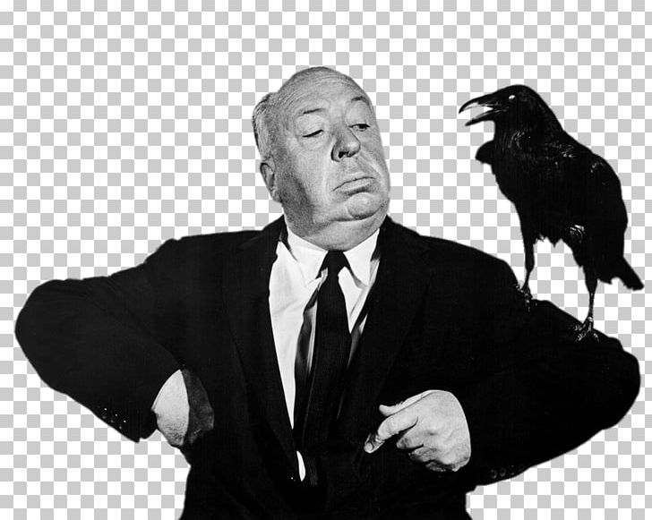 Alfred Hitchcock Filmography The Birds Film Director PNG, Clipart, Alfred, Alfred Hitchcock, Alfred Hitchcock Presents, Birds, Black And White Free PNG Download