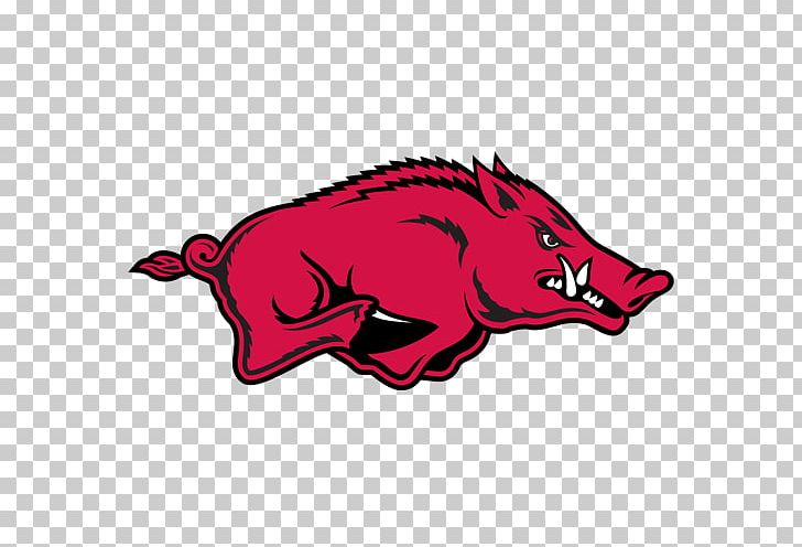 Arkansas Razorbacks Football Arkansas Razorbacks Baseball Donald W. Reynolds Razorback Stadium Southeastern Conference Arkansas Razorbacks Men's Basketball PNG, Clipart, Arkansas Razorbacks Football, Carnivoran, Cartoon, Dog Like Mammal, Fictional Character Free PNG Download