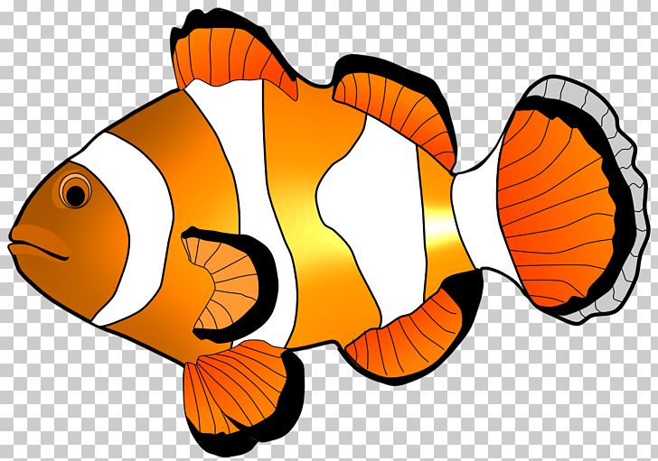 Fish PNG, Clipart, Blog, Clipart, Clip Art, Clownfish, Drawing Free PNG Download