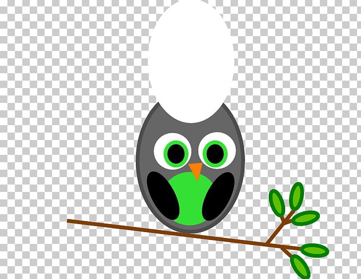 Little Owl PNG, Clipart, Animals, Animation, Beak, Bird, Bird Of Prey Free PNG Download