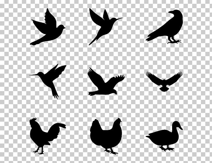 Bird Computer Icons PNG, Clipart, Animals, Beak, Bird, Black And White, Computer Icons Free PNG Download