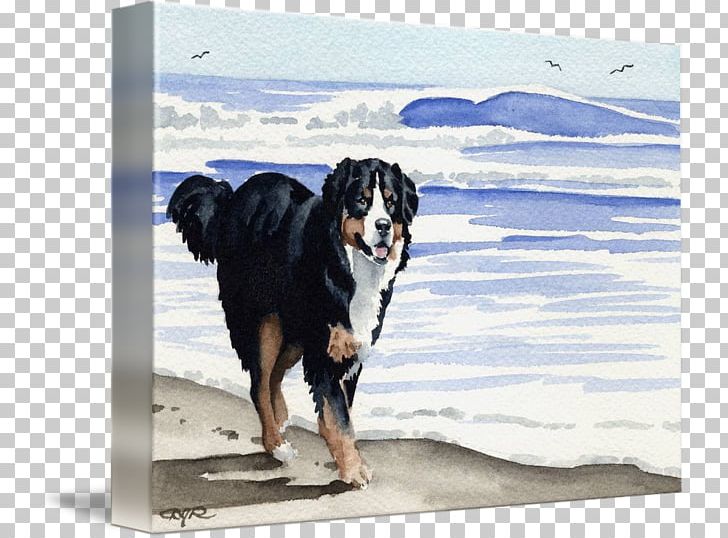 Dog Breed Bernese Mountain Dog Gallery Wrap Art PNG, Clipart, Art, Bernese Mountain Dog, Breed, Canvas, Carnivoran Free PNG Download